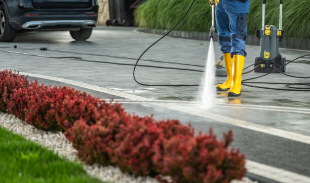 Best Roof Pressure Washing  in Meriden, CT